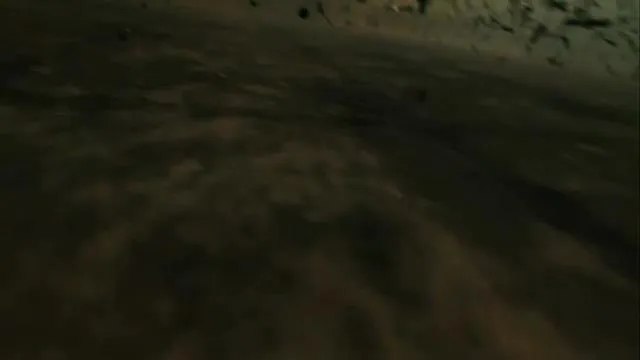 5Action