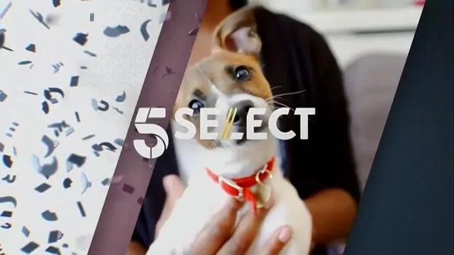 5Select