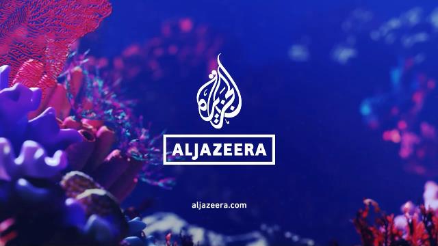 Al Jazeera