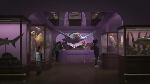 E4 Extra