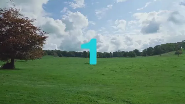 ITV1