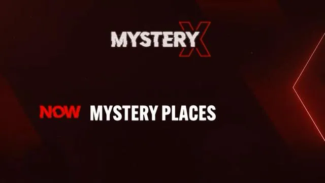 Mystery X