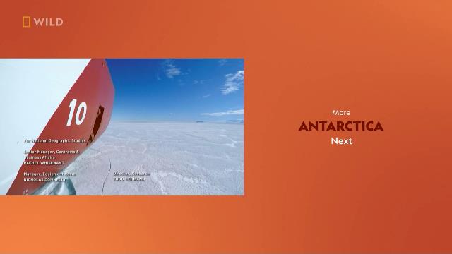 National Geographic Wild