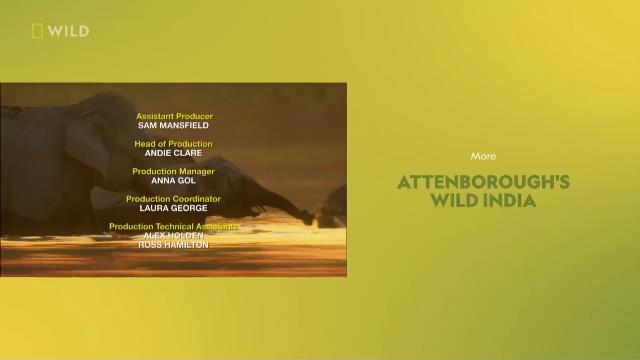 National Geographic Wild