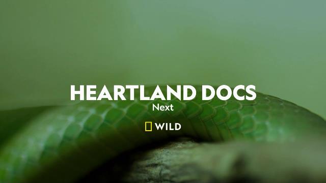 National Geographic Wild