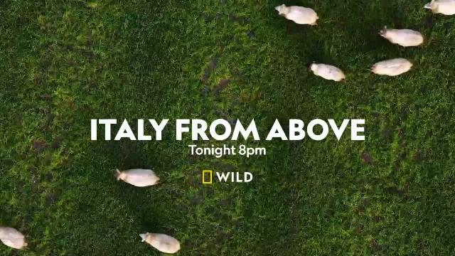 National Geographic Wild