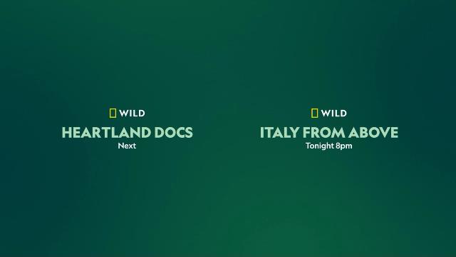 National Geographic Wild