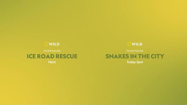 National Geographic Wild