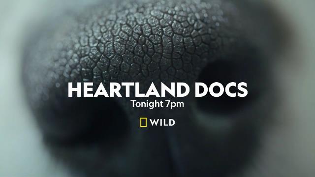 National Geographic Wild