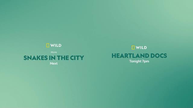 National Geographic Wild