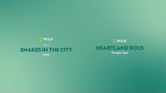 National Geographic Wild