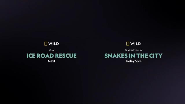 National Geographic Wild