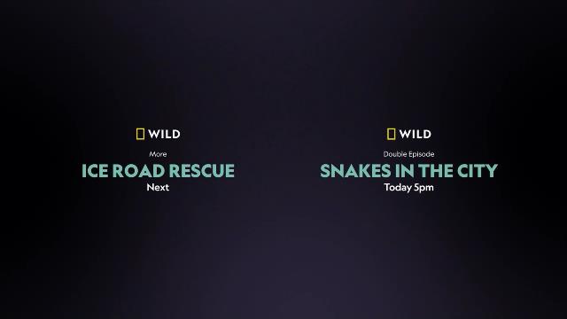 National Geographic Wild