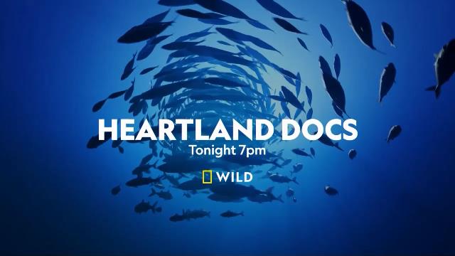 National Geographic Wild