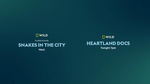 National Geographic Wild