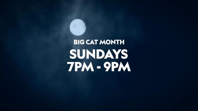 National Geographic Wild