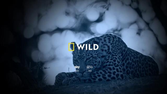 National Geographic Wild
