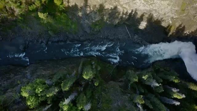 National Geographic Wild