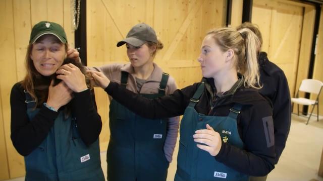 National Geographic Wild