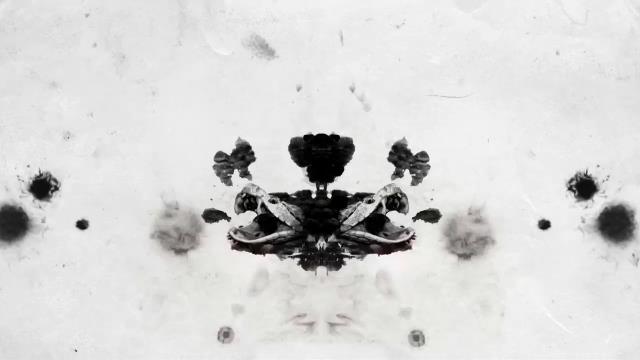 National Geographic Wild