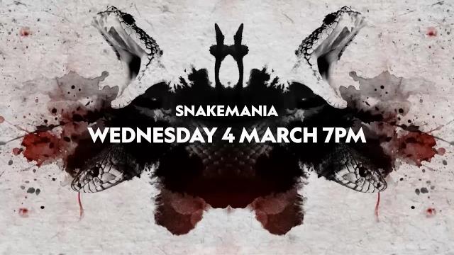 National Geographic Wild