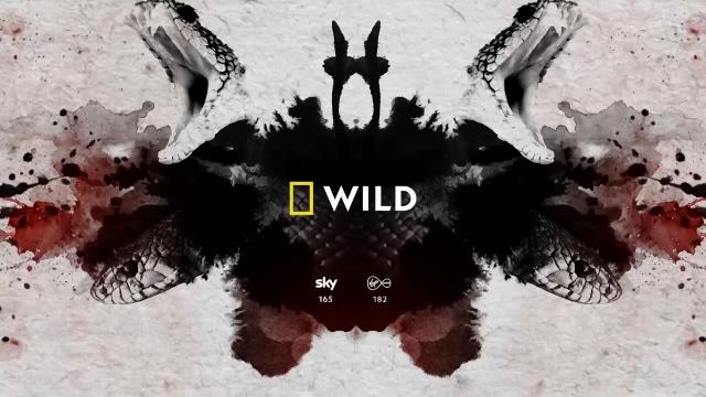 National Geographic Wild