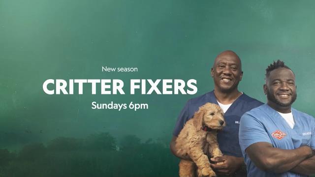 National Geographic Wild