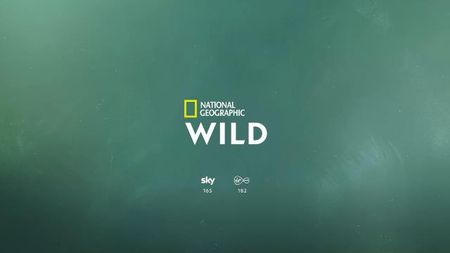 National Geographic Wild