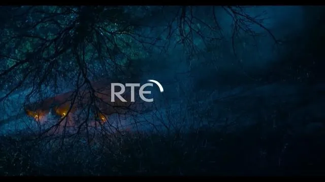 RTÉ One