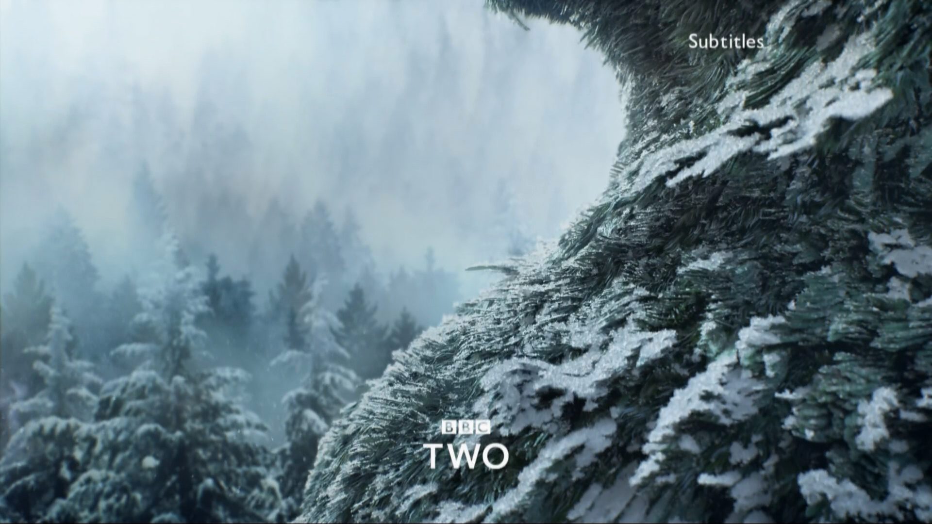 BBC Two: Christmas 2018 Idents & Presentation