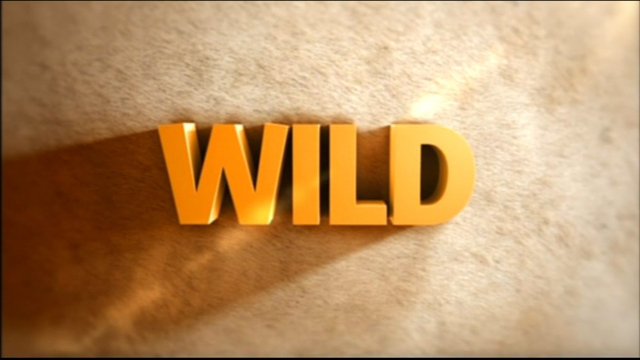 Nat Geo Wild: 2013 Idents & Presentation