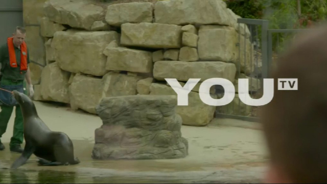 UTV Ireland: September 2015 Idents