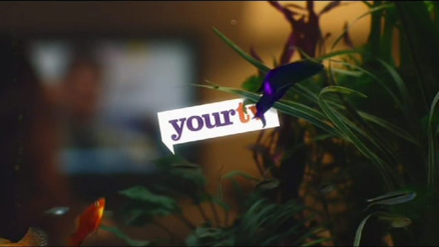 Your TV: 2015 Idents & Presentation