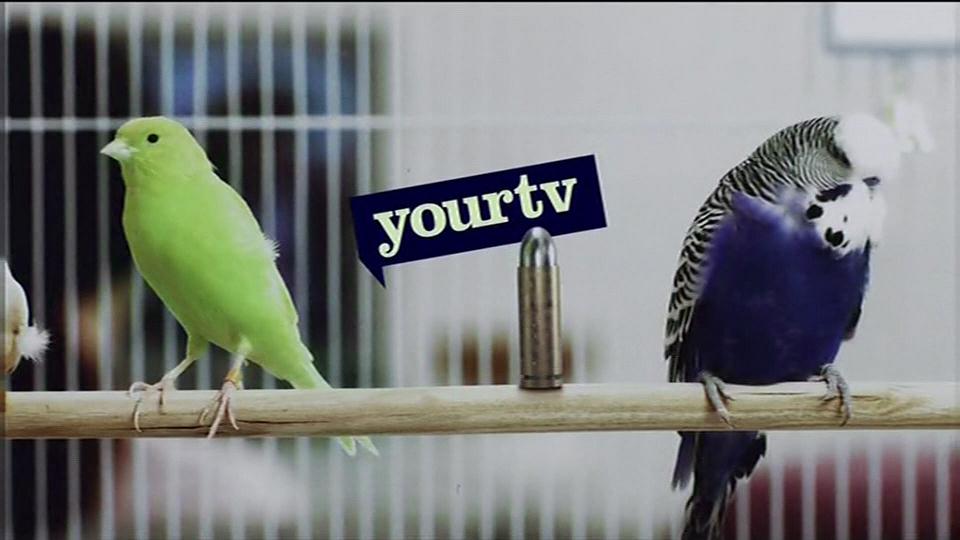 Your TV